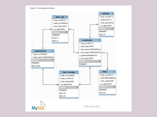 Understanding Entity Relationship Diagram (ERD)